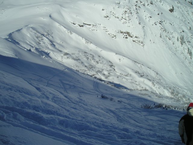 Photograph
